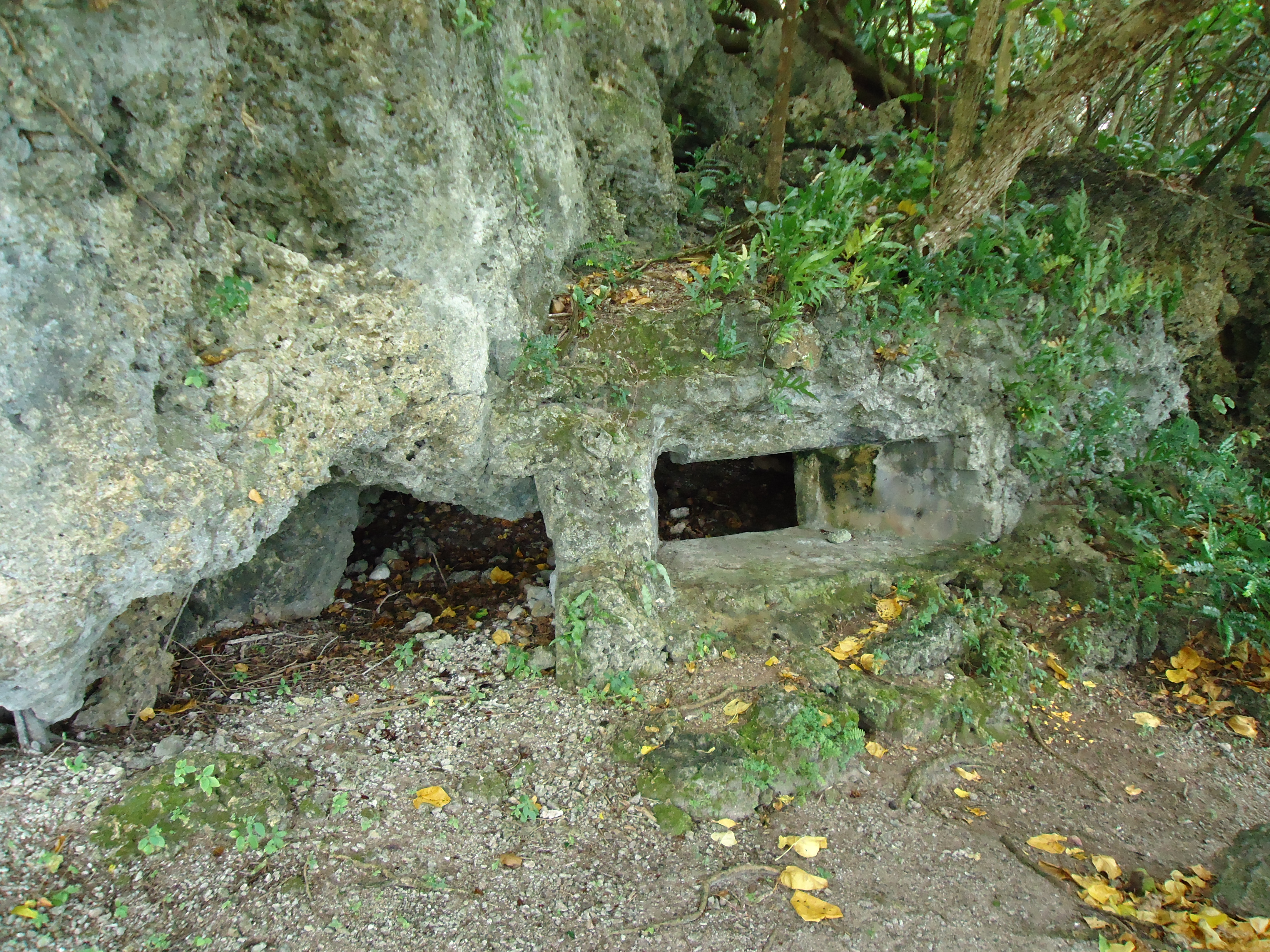  Japanese pill boxes, reminders of the Japanese occupation of Guam during World War II, can still be found all over the island. (Photo credit: Wendie Burbridge) 