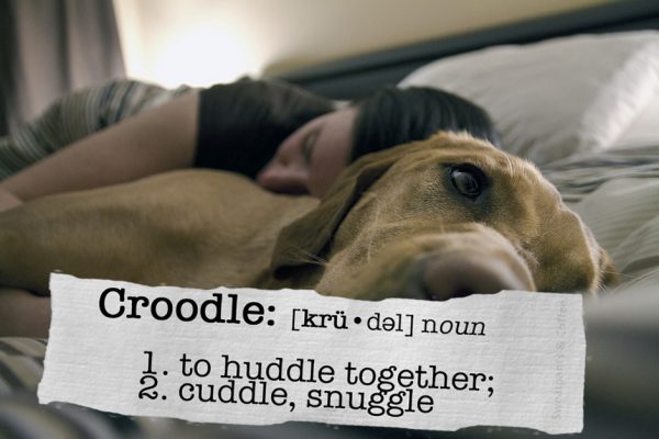 Croodle "Puppy Love" by Brendan Bell copy