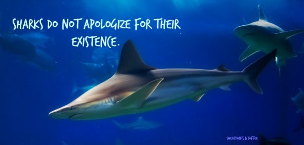 Sharks_do_not_apologize2_featuredimage
