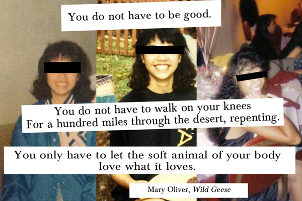 Mary Oliver Wild Geese quote self acceptance