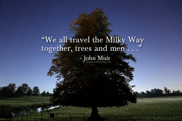 Misty Moonlight by Brian Tomlinson John Muir quote WP