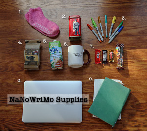 Writer supplies for NaNoWriMo