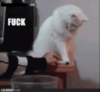 Cat knocks things off table GIF