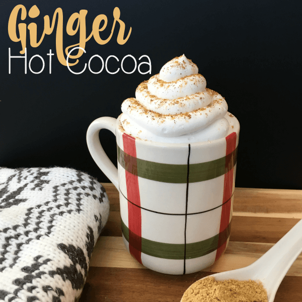 Ginger Hot Cocoa | Karissa’s Vegan Kitchen