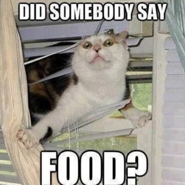 Making Us Laugh This Week | 15 Memes For Anyone Who is Always Hungry