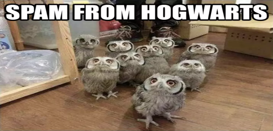 Please enjoy these Harry Potter memes